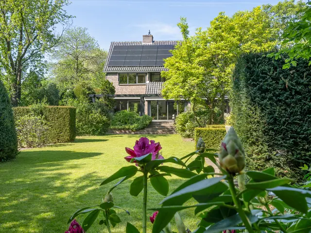Foto van Brahmspark 20