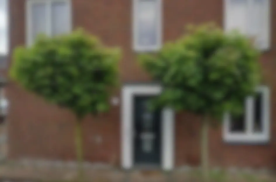 Assendelft