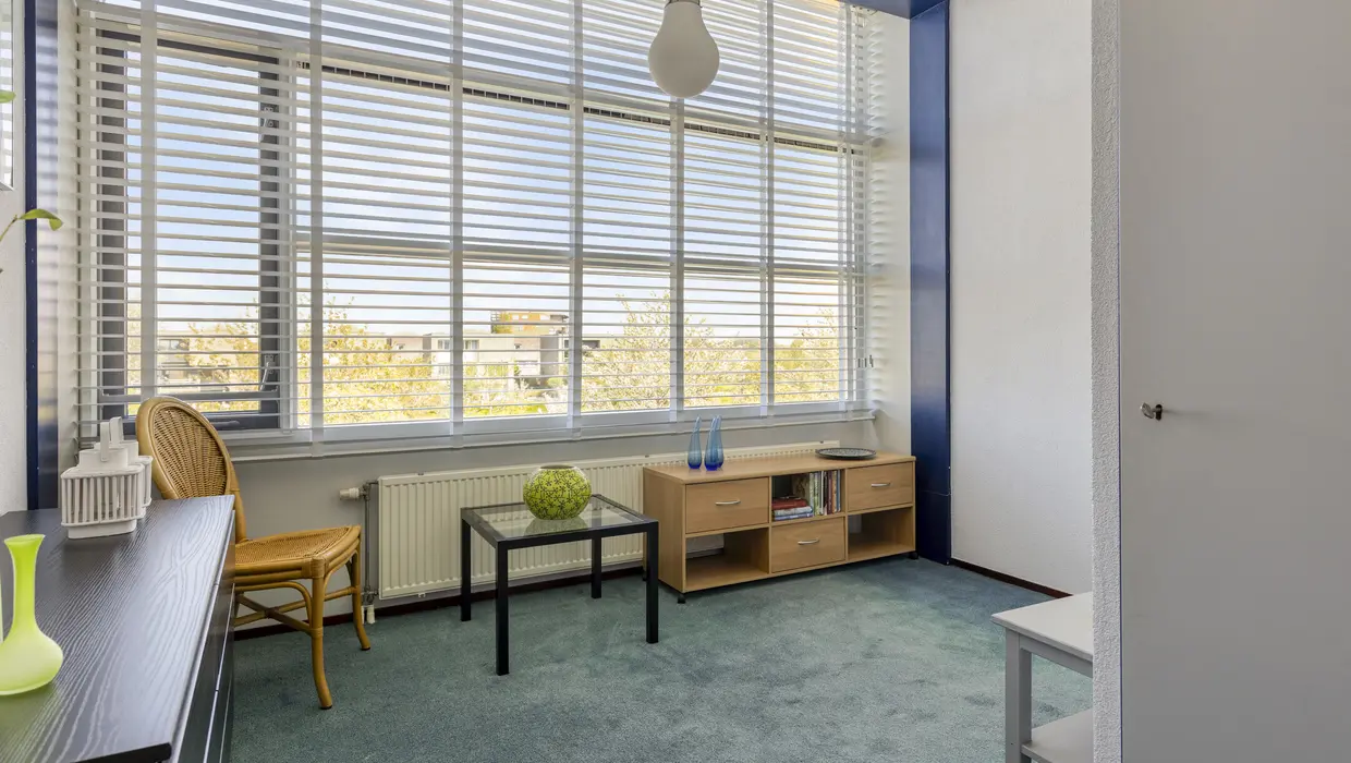 Mildenburgallee 114, SPIJKENISSE foto 23