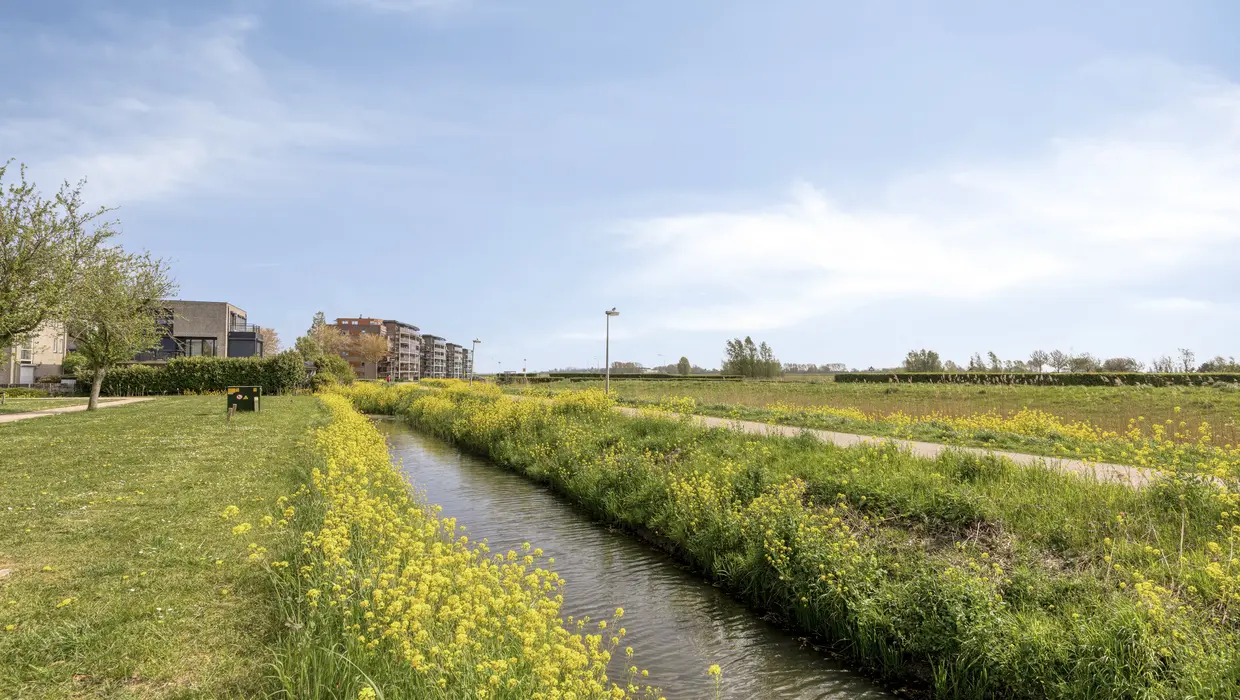 Mildenburgallee 114, SPIJKENISSE foto 41