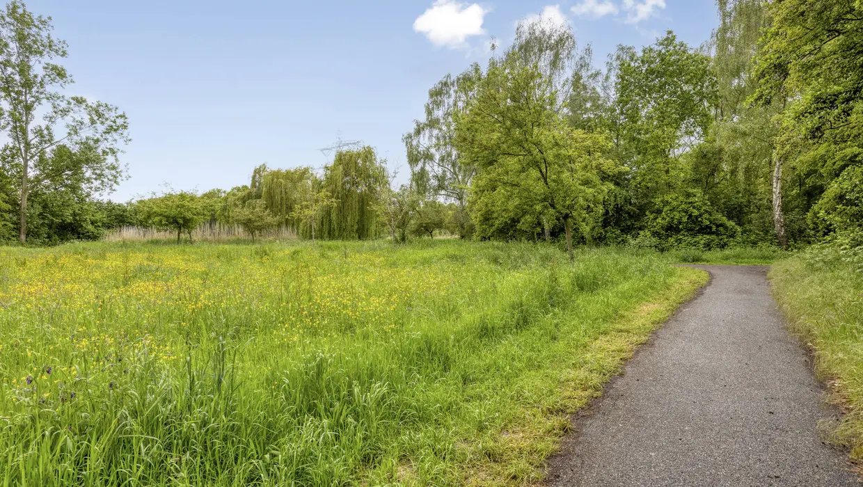 Vlinderveen 437, SPIJKENISSE foto 42