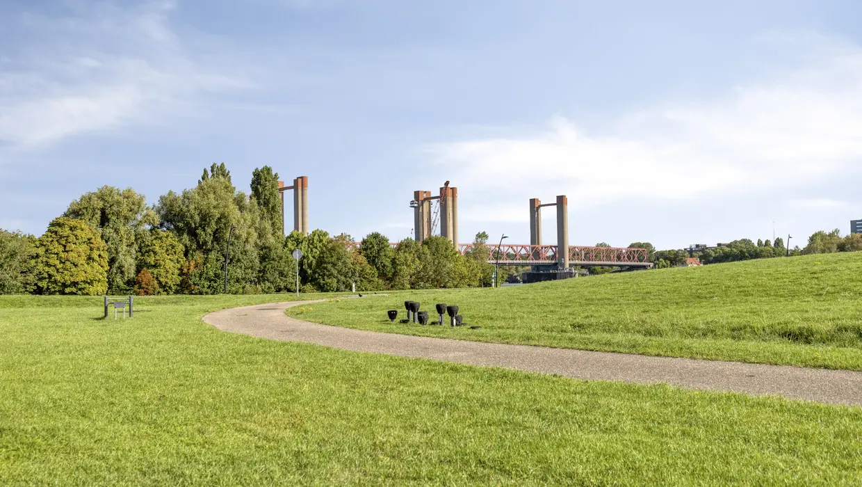 Sluiskade 88, SPIJKENISSE foto 42