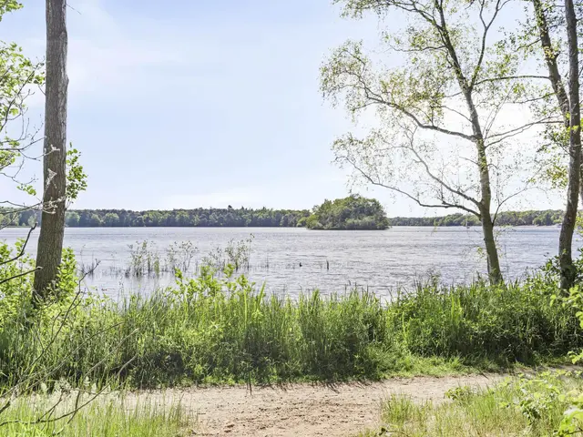 Foto van Acacialaan 10