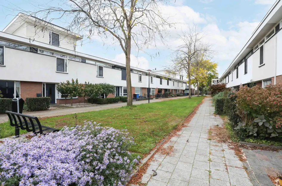 Waterschorpioen 17