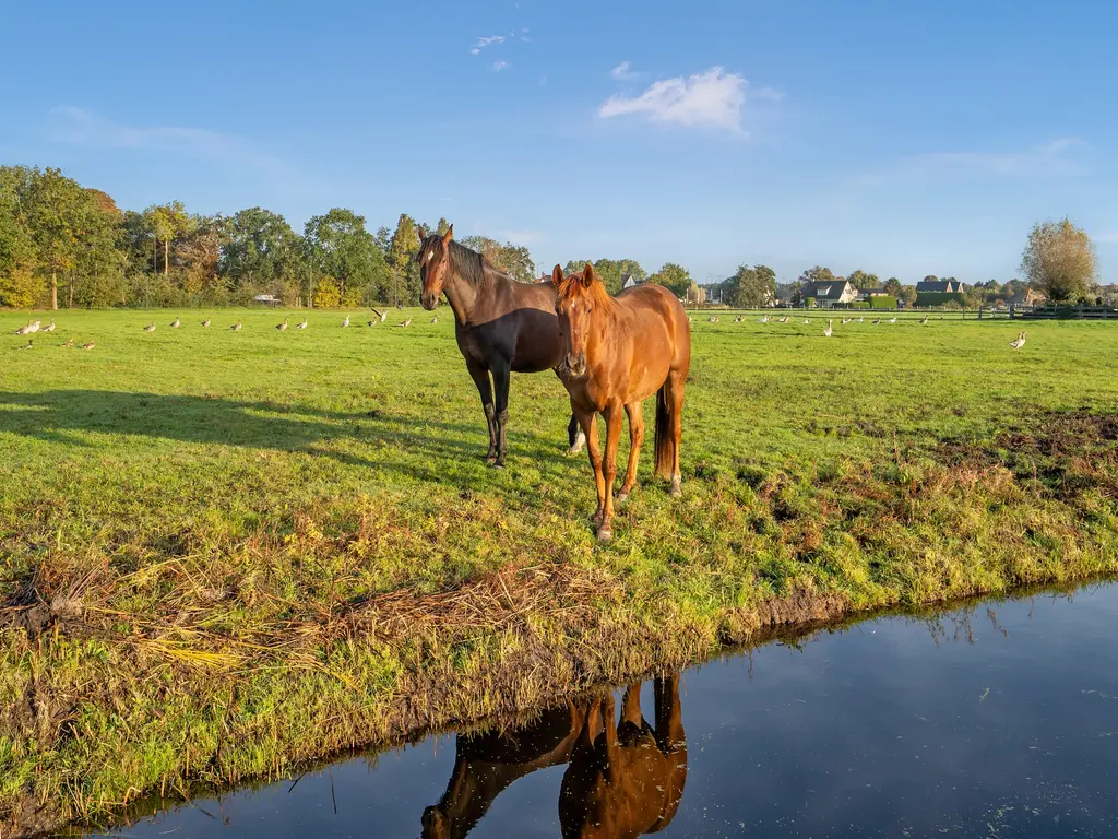 Nautawerf 42, LEIDSCHENDAM