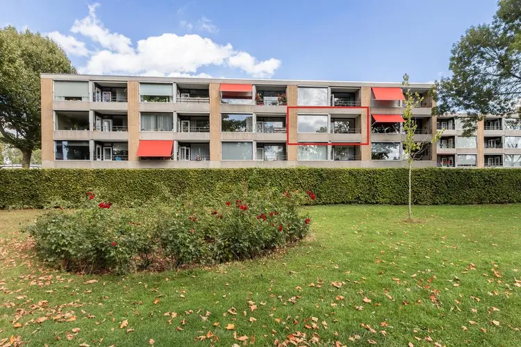 Campanula 82, DORDRECHT