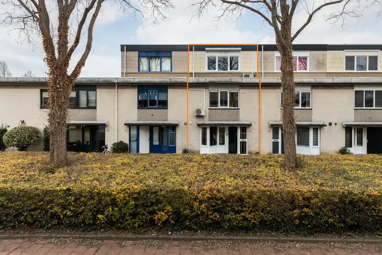 Branco 36, DORDRECHT