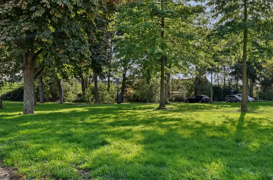 Uilenvliet 1P 8