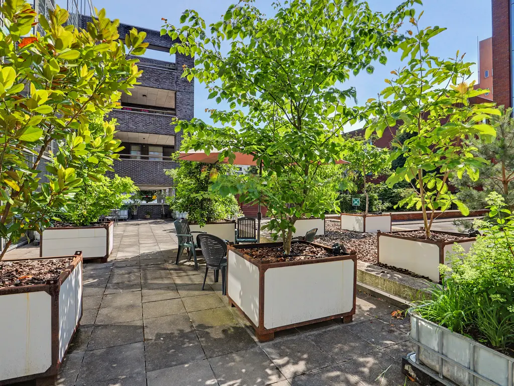 Draai 113, DORDRECHT