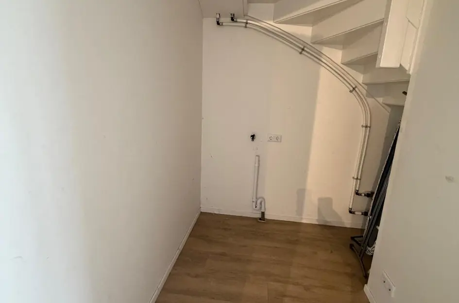 Bos 24