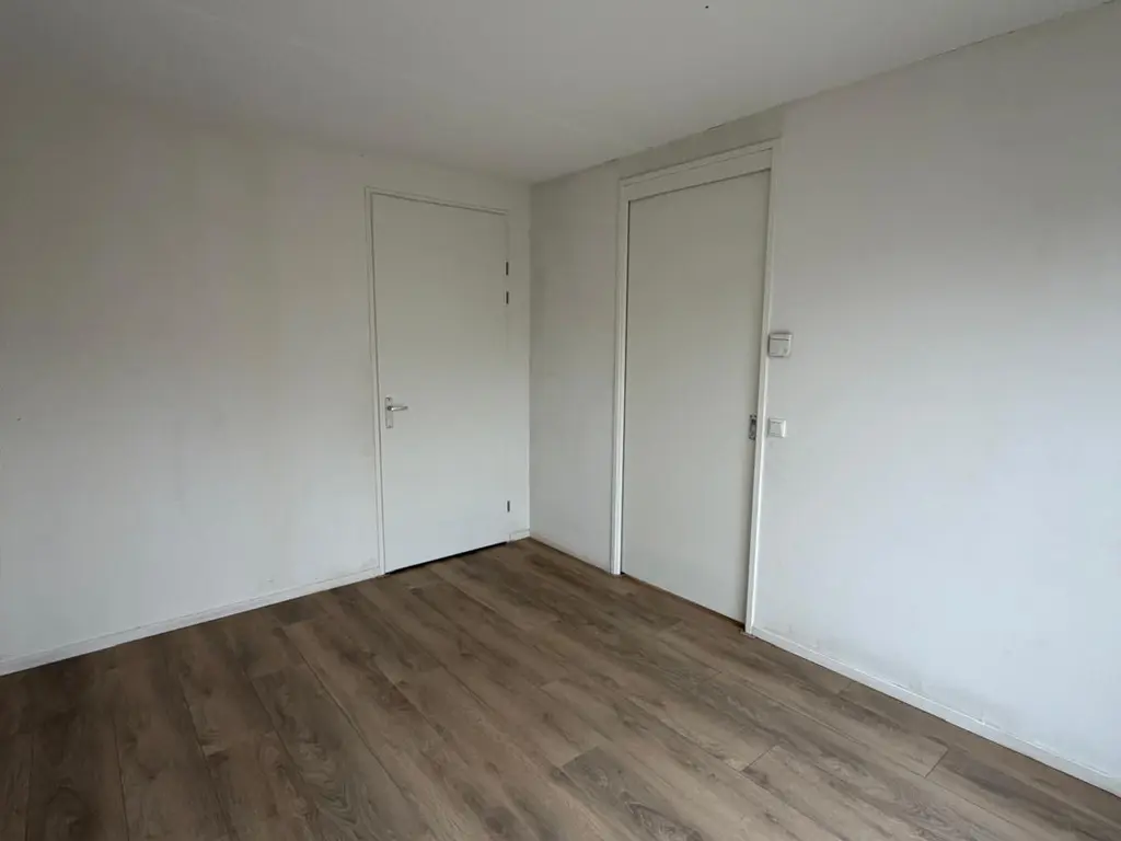 Bos 24, STAVENISSE