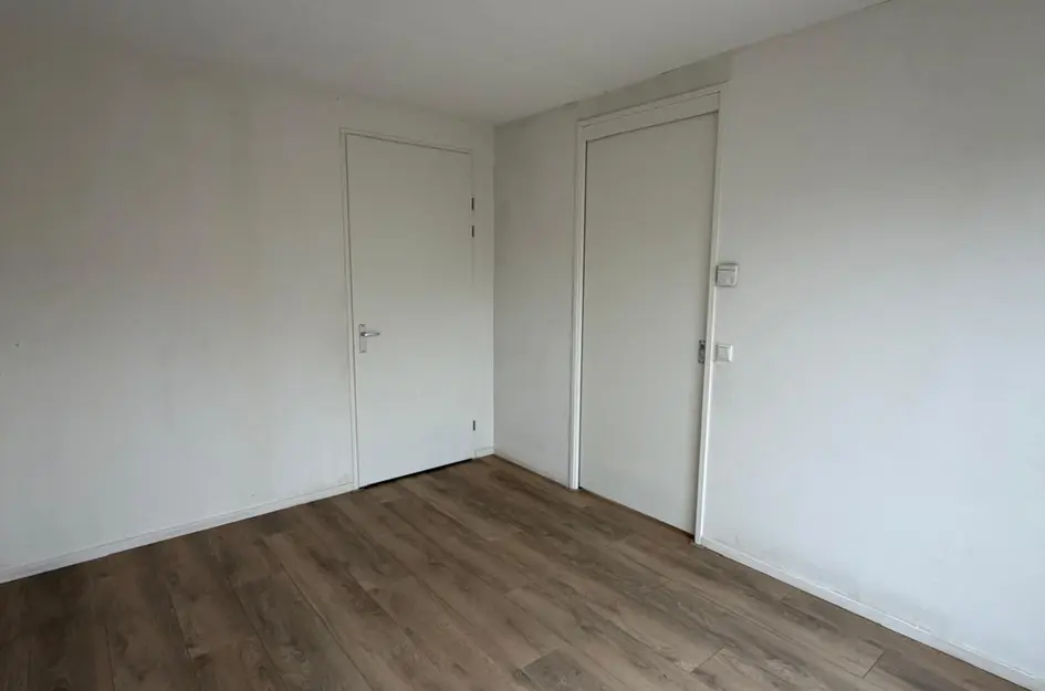 Bos 24
