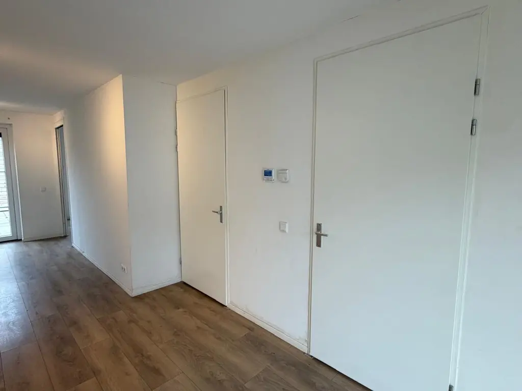 Bos 24, STAVENISSE