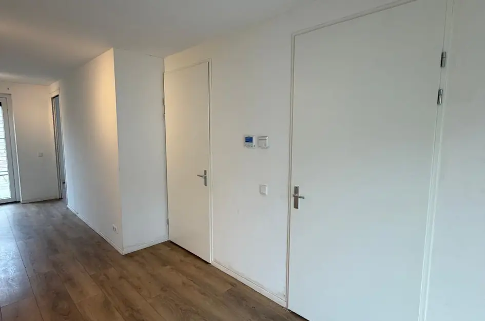 Bos 24