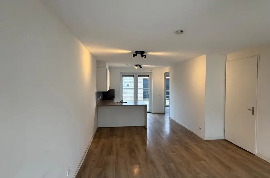 Bos 24