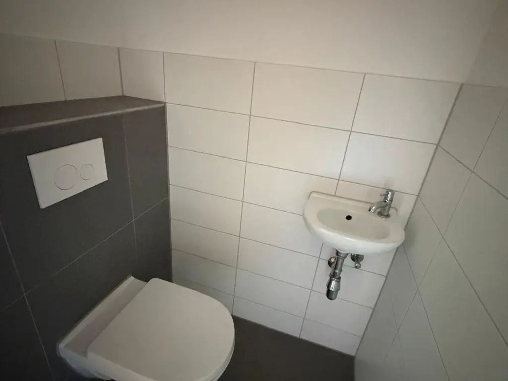 Bos 24, STAVENISSE